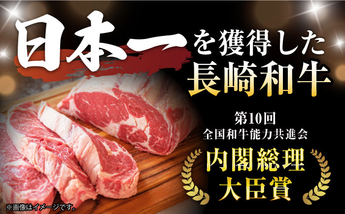 【6回定期便】 【一口で広がる贅沢な旨味！】長崎和牛 ヒレサイコロステーキ 400g / ヒレ ひれ ヒレステーキ ステーキ すてーき サイコロステーキ / 諫早市 / 野中精肉店 [AHCW107]