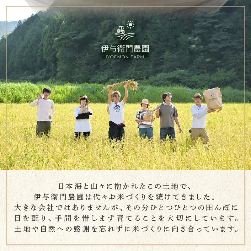 【先行予約】【令和8年産】 定期便 ≪3ヶ月連続お届け≫ にじのきらめき うまみ精米 5kg×3回／ 鮮度抜群 15キロ 福井県あわら産 お米 ※2026年10月上旬より順次発送 [aw071-c00
