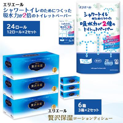 ふるさと納税 島田市 吸水力が2倍のトイレットペーパー12ロール×2セット、贅沢保湿ティシュー3箱×2セット※※
