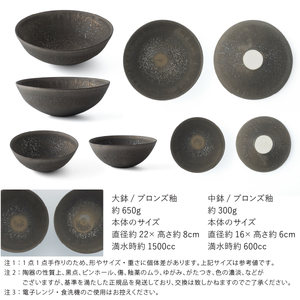 【美濃焼】 五十嵐務 鉢 ブロンズ釉 2サイズ各2枚セット 瑞浪市 / JS企画 鉢 セット 陶芸作品 取鉢 ボウル 皿 [AZAZ207]
