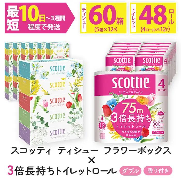 スコッティトイレットロール 48個 + ボックスティッシュ 60箱（トイレットペーパー ティッシュ）
