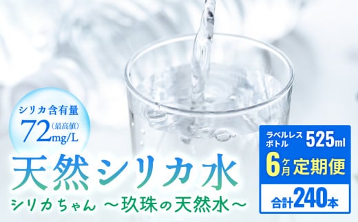 [定期便 6ヶ月] 天然 シリカ 水 525ml × 40本 ＜シリカちゃん〜玖珠の天然水〜＞ ラベルレス 天然水 シリカ水 ミネラルウォーター 国産