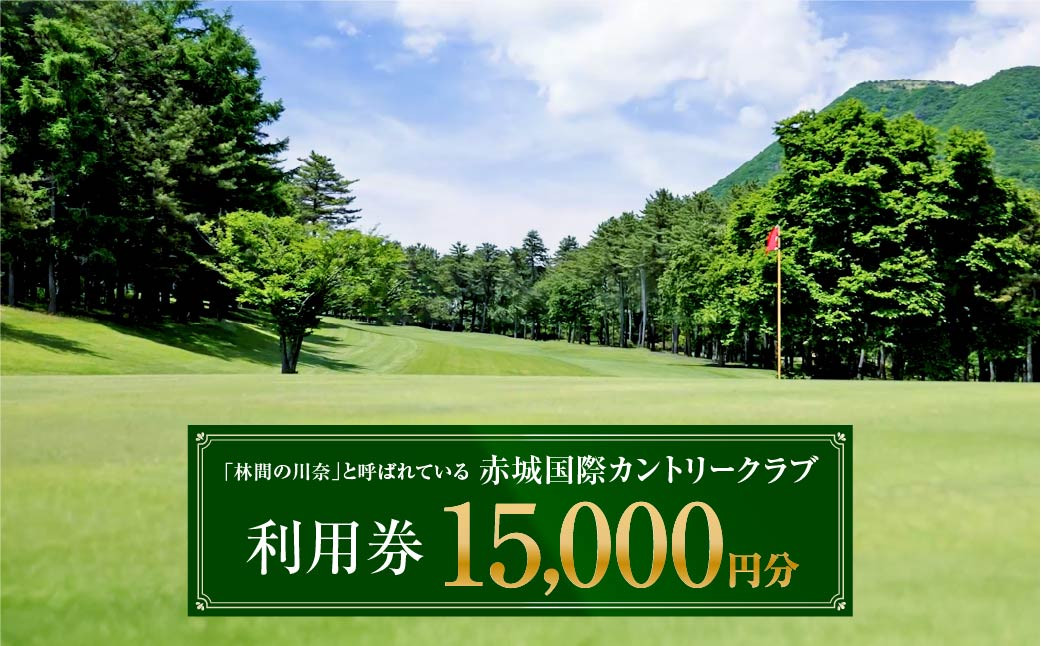 
            赤城国際カントリークラブ 利用券 15,000円分 3000円券×5枚｜ゴルフ場 ゴルフ利用券 チケット ゴルフ 利用クーポン ラウンド プレー ハーフ 関東 都心 近い スイング ゴルフクラブ スコア ゴルフコース 歴史 伝統 林間 戦略 1964年開場 四季 見通し 景色 眺望 R5-5
          