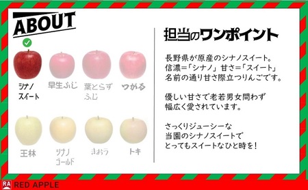 りんご 【 10月発送 】家庭用 シナノスイート 約 5kg 【 弘前市産 青森りんご 】 果物 フルーツ 食後 デザート 果汁たっぷり ジューシー 旬の果物