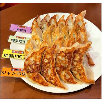 ふるさと納税 宇都宮市 【毎月定期便】餃子専門店 宇都宮悟空 4種の人気餃子全4回 |  | 01