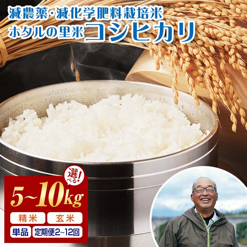 【ふるさと納税】【精米方法・容量・回数が選べる！】 【ホタルの里米】環境に配慮し農薬を減らした栽培米コシヒカリ 米 お米 おこめ ご飯 ごはん 福島県 西会津町 容量が選べる F4D-0693var