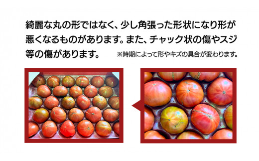 《 2026年収穫分 先行予約 》 訳あり 糖度9度以上 スーパーフルーツトマト 大箱 約2.6kg × 2箱  (20～35玉/1箱) フルーツトマト ブランドトマト 野菜 ギフト 贈答 [BC03