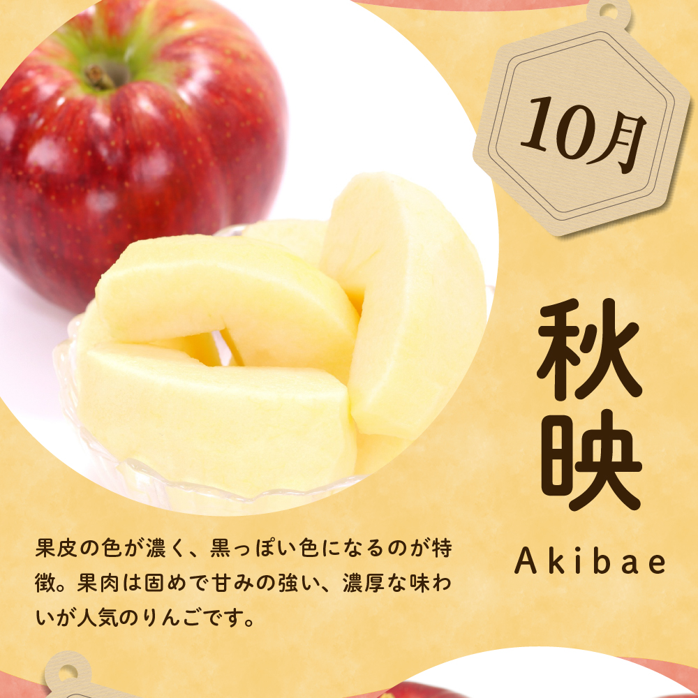 【先行予約】 定期便 令和8年産 りんごの定期便 全4回 4種 × 約2kg 計 約8kg 秋陽 秋映 シナノスイート サンふじ フルーツアドバイザー 厳選 2026年9月下旬頃～ 発送開始予定 山形