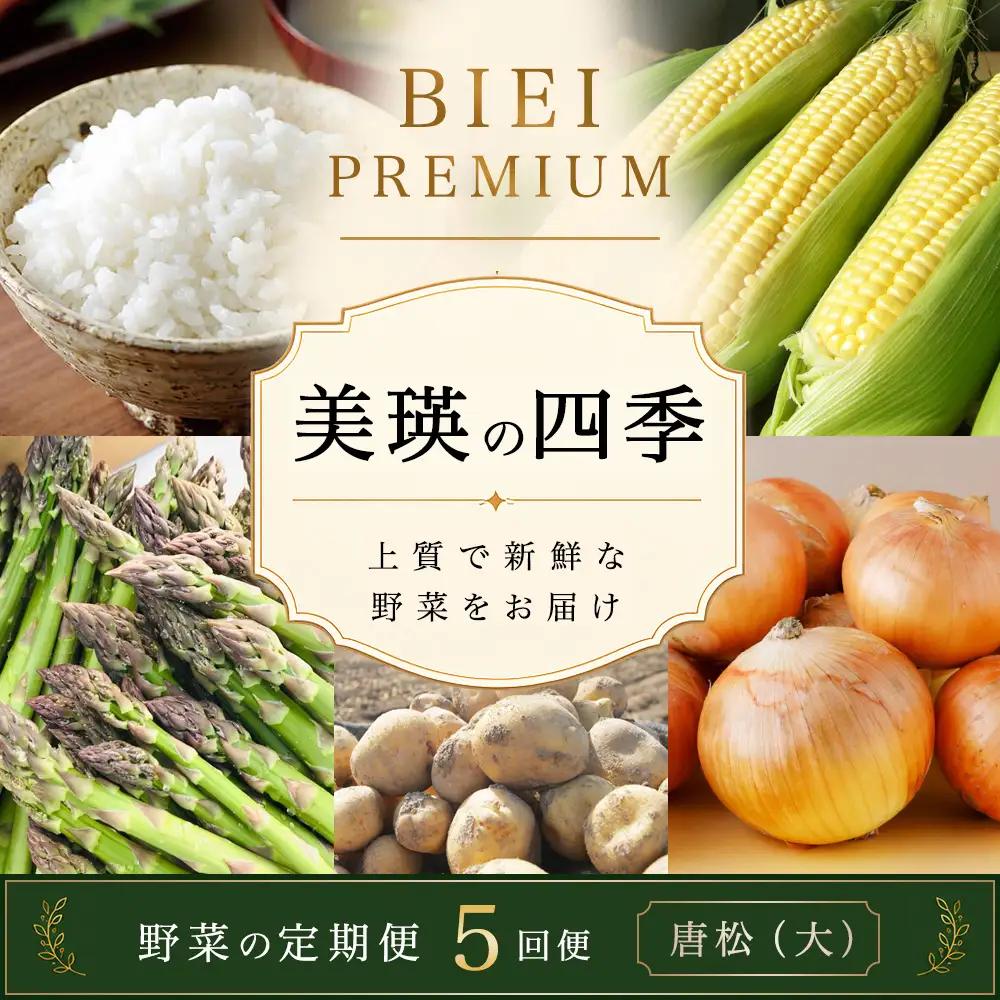 野菜セット 【令和9年産予約受付】 5回 定期便 美瑛の四季 唐松（大） 野菜詰め合わせ