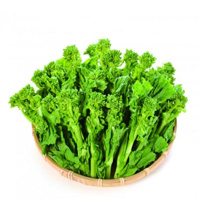 ふるさと納税 琴平町 菜の花(袋入り) 約2kg