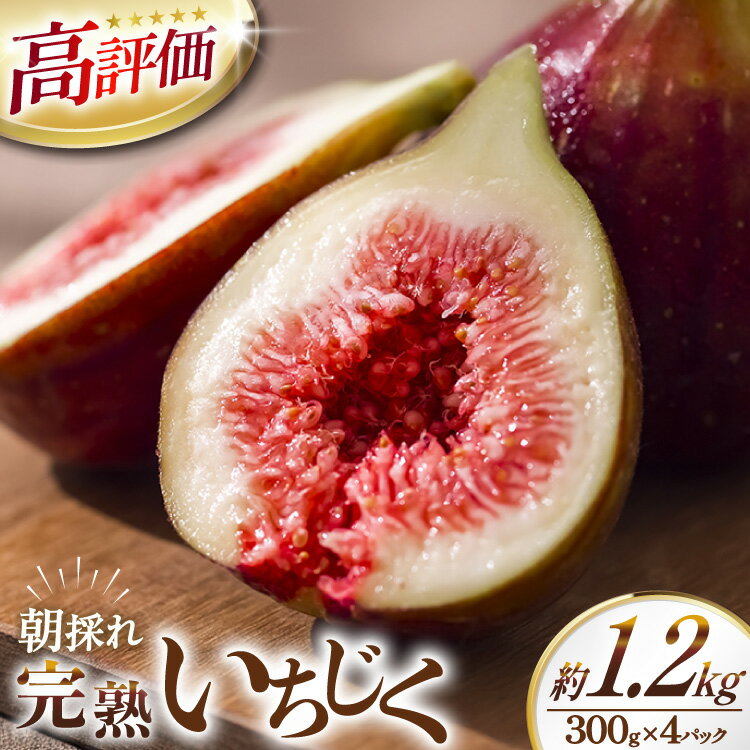 【ふるさと納税】 【期間限定発送】 いちじく 生 完熟 約1.2kg (300g×4パック) [モアショップヤマモト 石川県 宝達志水町 38600615] 果物 くだもの フルーツ ◎