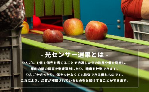 りんご 10kg 【令和6年度先行予約】 果物 サンふじ 訳あり 感謝りんご 交換保証 規格外 家庭用 傷あり 10キロ (24から50玉)  R6年12月R7年1月末 順次発送 長野県 飯綱町 [1