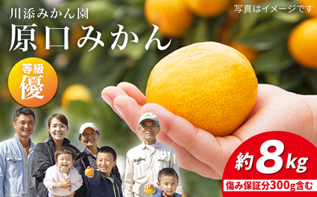 【11月下旬より配送】 原口みかん/優品 約8kg（傷み保証分300g含む） ＜川添みかん園＞ [CCT002] みかん みかん みかん みかん みかん みかん