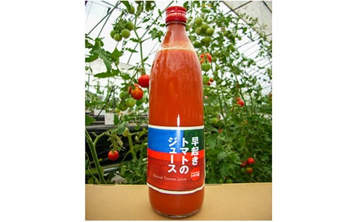 
北海道産 無添加特濃早起きトマトのジュース830ml×12本　K011
