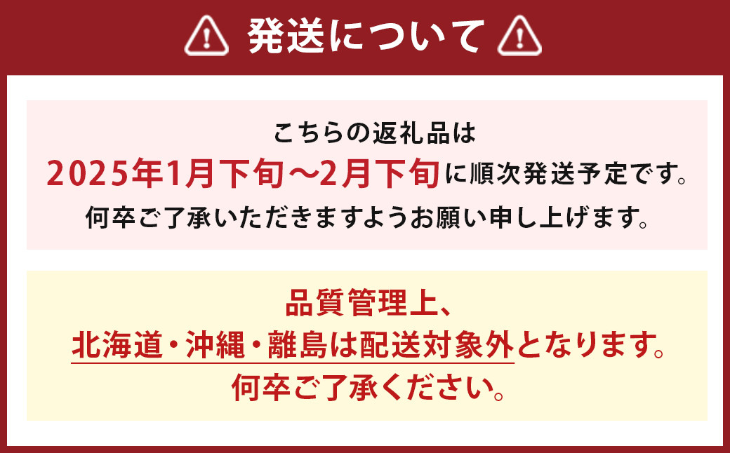  【期間限定】博多 あまおう いちご エクセレント 約450g×2パック