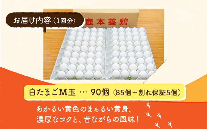 【全3回定期便】白たまご M玉 90個（85個＋5個割れ保証）【農事組合法人 鹿本養鶏組合】 [ZCA006]