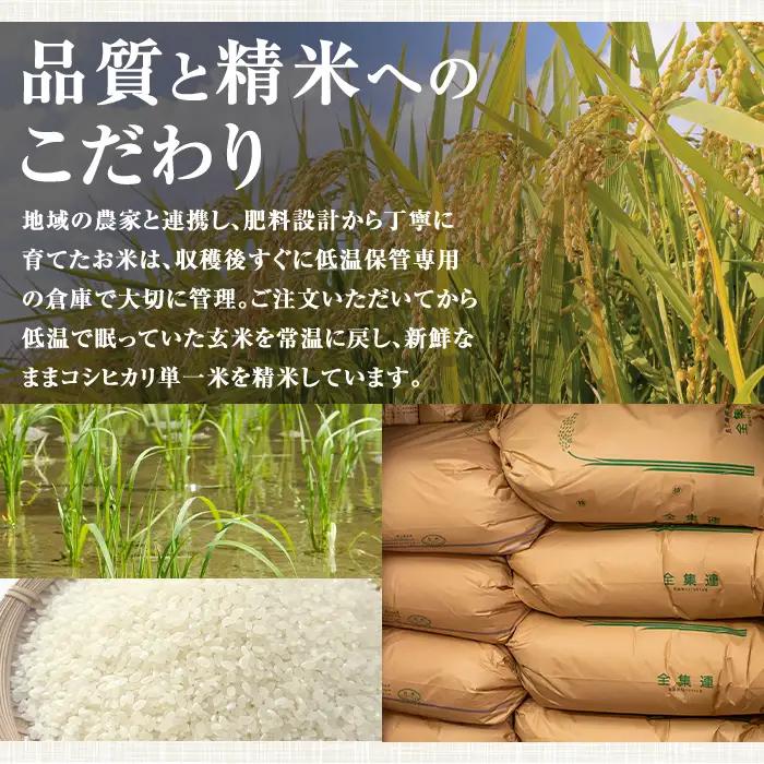 【定期便 計3回】令和8年産 新米 鹿児島県産 コシヒカリ 計15kg 5kg×3回 国産 精米 白米 ごはん【山下商店】D95001