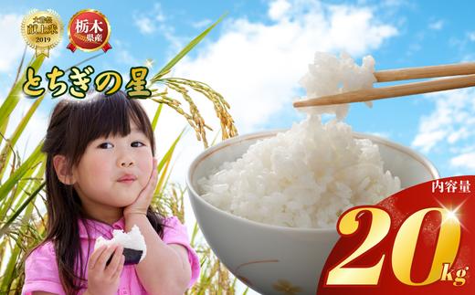下野市産 とちぎの星 米 20kg | こめ コメ 白米 精米 とちぎの星 ﾄﾁｷﾞﾉﾎｼ 新米 栃木米 令和8年度米 令和8年 2026年度 ブランド米 栃木県 特産品 送料無料 栃木県 下野市