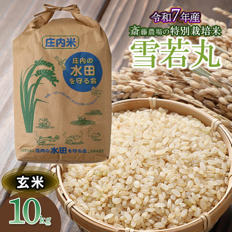 【ふるさと納税】令和7年産【新米】斎藤農場の特別栽培米 雪若丸 玄米 10kg [K-7117]