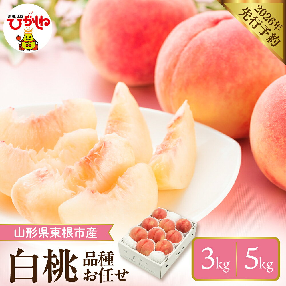 【ふるさと納税】 2026年産 先行予約 桃 白桃 品種おまかせ 約 3kg (7〜12玉) / 約5kg (12～18玉) | もも モモ ピーチ フルーツ 果物 くだもの 箱入り 化粧箱 期間限定 冷蔵配送 お取り寄せ グルメ 産地直送 送料無料 東北 山形県 東根市