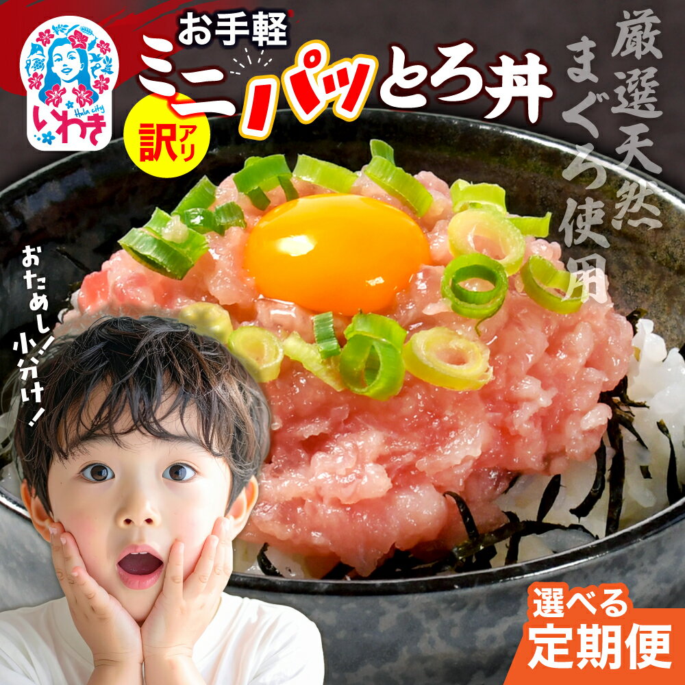 【ふるさと納税】〈定期便〉ねぎとろ使い切りパック　約1kg（約40g×24パック） | まぐろ まぐろのたたき ねぎとろ マグロ パーティー 使い切りパック 海鮮丼 お寿司 軍艦巻き 福島県 いわき市 父の日 おいしい| DK011-1kg-t-oya