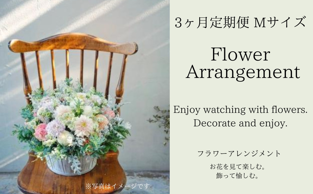 
                  フラワーアレンジメントMサイズ【3か月定期便】花  花束 ブーケ アレンジ プレゼント 贈り物 花のある生活 ドライフラワー 生花 お祝い 記念日 株式会社KACHA 奈良県 奈良市 なら 90-002
                
