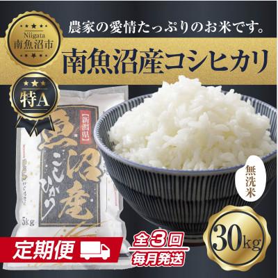 ふるさと納税 南魚沼市 【毎月定期便】無洗米 南魚沼産 コシヒカリ 精米 30kg(美味しい炊き方ガイド付)全3回