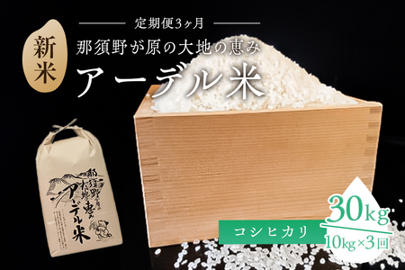 【令和6年産米】『定期便3ヶ月』那須野が原の大地の恵み アーデル米（コシヒカリ1袋10kg）＜出荷開始：2024年10月下旬～＞ 栃木県 那須塩原市 お米 ﾂﾔ ｺｼ 粘り 風味豊か おにぎり 袋 食品 ごはん ｺｼﾋｶﾘ ns061-002