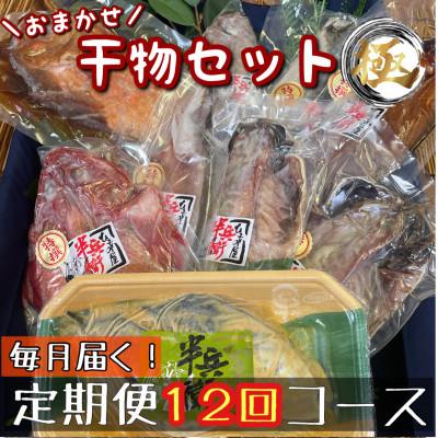 ふるさと納税 小田原市 【毎月定期便】厳選!おまかせ干物セット【極】小田原の美味しい干物!【神奈川県小田原市早川】全12回