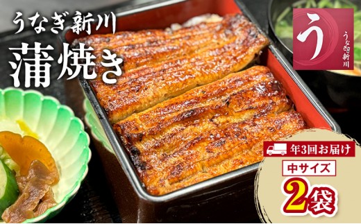 
                  【年3回お届け】定期便 うなぎ新川 蒲焼き（中サイズ）2袋入り 　鰻 うなぎ蒲焼 蒲焼 タレ付き うな重 冷凍 成田市 千葉県
                