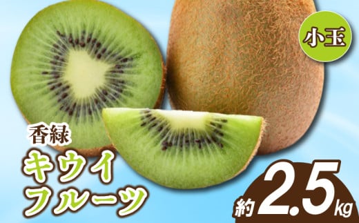先行予約 キウイ 約2.5kg キウイフルーツ グリーンキウイ 小玉 香緑キウイ 果物 果実 フルーツ 旬 デザート 選べる 容量 11月下旬～1月中旬 配送 家庭用 贈答用 ギフト プレゼント 香川県 丸亀市