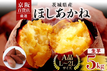 【京阪百貨店厳選】茨城県産ほしあかね 5kg [A品L～2Lサイズ] 芋 さつま芋 サツマイモ さつまいも B18-009