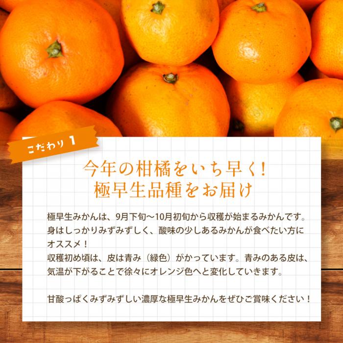 みかん 柑橘【先行受付】【2025年10月中旬以降発送】 甘さと酸味が絶妙！極早生 みかん 約2.5kg 三原 佐木島 017038