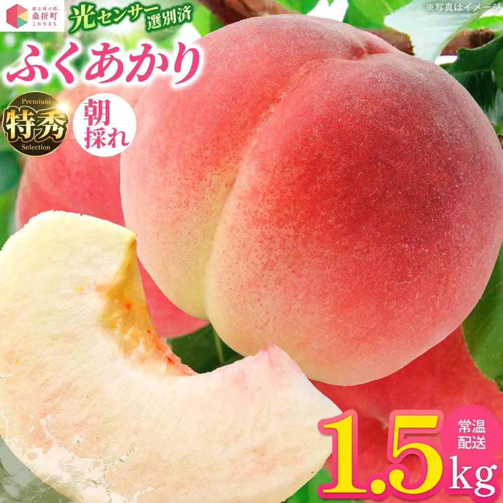 もも【ふくあかり・2027年産先行予約】特秀1.5kg　桑折町産　JAふくしま未来　桃 ／ もも モモ 果物 フルーツ 旬 甘い 甘み ジューシー 果肉 果汁 新鮮 フレッシュ デザート おいしい 産地直送 桑折 こおり こおりまち 福島県 特産品 【07301-0166】