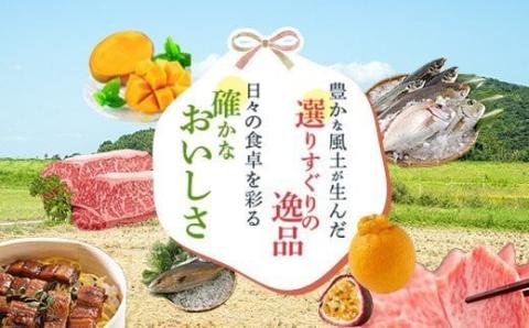 満足定期便　鹿児島黒牛贅沢満喫セット〈6回定期便〉