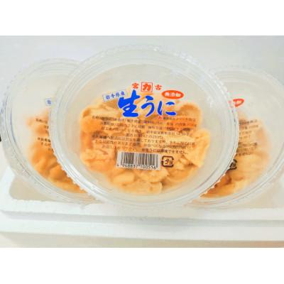 ふるさと納税 宮古市 天然生うに100g×3パック　岩手県産　ミョウバン不使用 |  | 01
