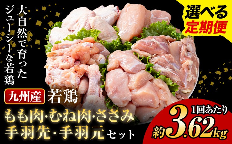 
                  選べる 定期便 九州産若鶏もも肉 むね肉 ささみ 手羽先 手羽元 セット 計3.62kg 鶏肉 お肉 モモ肉 ムネ肉 5種類 詰め合わせ 小分け 冷凍 九州産 国産 熊本県 菊池市 送料無料《お申込み翌月から出荷》
                