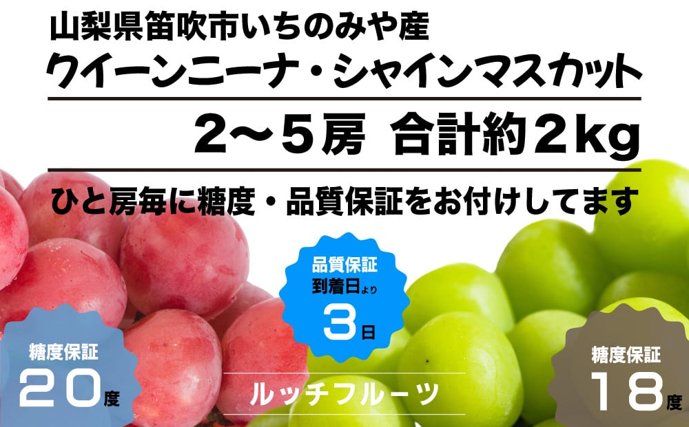 
            【全房糖度保証付】希少品種クイーンニーナとシャインマスカット食べ比べ 合計約2kg 2～5房【2025年発送】＜数量限定＞旬の美味しいフルーツだけをお届けします【ルッチ Rucci】産地直送 山梨県 笛吹市 果物 葡萄 ぶどう 赤ブドウ 赤系 人気 ギフト ランキング リピート 高評価 ギフト 贈答 贈り物 化粧箱 2025年 令和7年 先行予約 期間限定 104-046
          