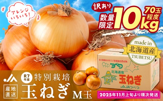 【訳あり】数量限定 特別栽培玉ねぎ M玉 10kg | 北海道津別町