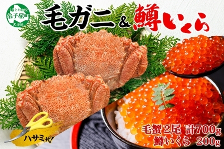 3629. 毛蟹 2尾 計700g前後 鱒いくら醤油漬け 200g 専用ハサミ・食べ方ガイド付き 毛ガニ 毛がに 蟹 カニ  鱒いくら いくら 醤油漬け ボイル 北海道 弟子屈町