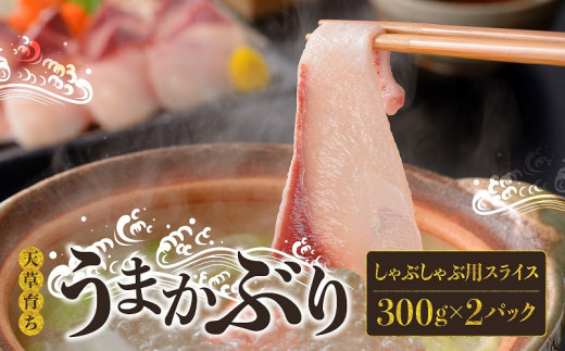 S137-007_【天草育ち/産地直送】活じめ！うまかぶりしゃぶしゃぶ用スライス　300g×２P