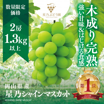 先行受付【三つ星ブランド】星乃シャインマスカット 数量限定 (岡山県産)2房(1.3kg以上)【配送不可地域：離島・北海道・沖縄県】