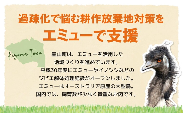 エミューステーキ 150g×4枚【エミュー 基山産 高タンパク 高鉄分 低カロリー ヘルシー ジビエ ステーキ 貴重肉 鉄分補給】 A5-J006003