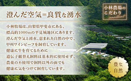 【3回お届け】JAS認証 甲州ワインビーフ 定期便【火】 定期便 3回 すき焼き しゃぶしゃぶ 焼肉 小林牧場 甲州牛 国産 赤身 肉 牛肉 ビーフ カタロース 肩ロース 薄切り肉 カルビ 切り落とし