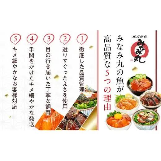 【ふるなびWEEK対象】【 海鮮丼 】 海鮮丼 5種 2p