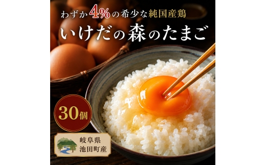
【ふるさと納税】卵 わずか4%の希少な純国産鶏 いけだの森たまご 30個 こだわり おこめのたまご 玉子 鶏卵 生卵 産地直送 冷蔵配送 TKG 卵かけご飯 岐阜県産
