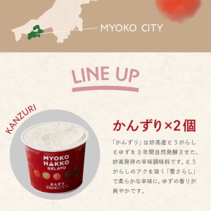 新潟県妙高発酵ジェラート5個セット（かんずり、みそ、あまざけ、コーヒー）4種 セット アイス 詰め合わせ 新潟県 妙高 発酵 MYOKO HAKKO GELATO フレーバー アソート かんずり みそ