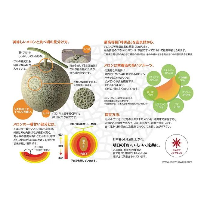 【先行予約】北海道 富良野産 赤肉 つやべに メロン 2玉 4kg以上