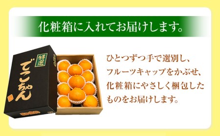【先行受付】でこちゃん ( デコポン )と同品種 不知火 11玉 長岡農園《2月中旬-4月上旬頃より順次出荷》 和歌山県 日高川町 不知火 旬 柑橘 フルーツ 果物