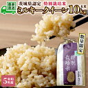 【ふるさと納税】【数量限定】令和5年産 茨城産 特別栽培米 ミルキークイーン 10kg 玄米 米 こめ コメ 茨城県 国産 いばらき 単一米 直送